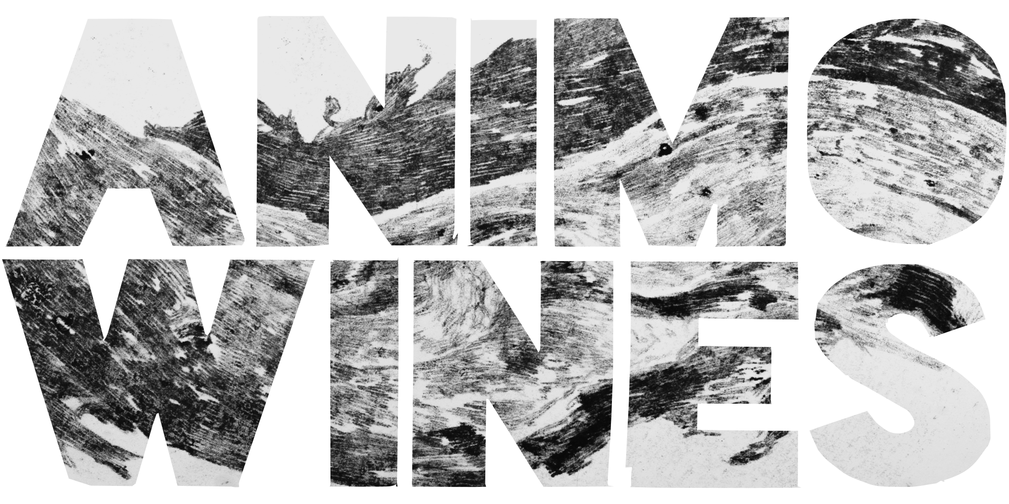 Animo Wines
